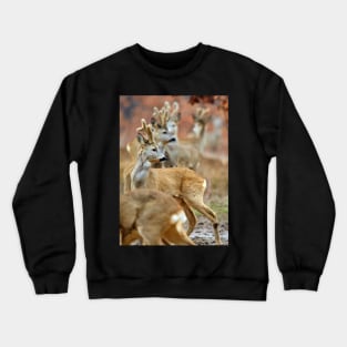 Roe deer family Crewneck Sweatshirt